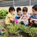 ĐỪNG NGẠI CON BẨN HÃY CHO CON CÓ CƠ HỘI ĐƯỢC TRẢI NGHIỆM!
